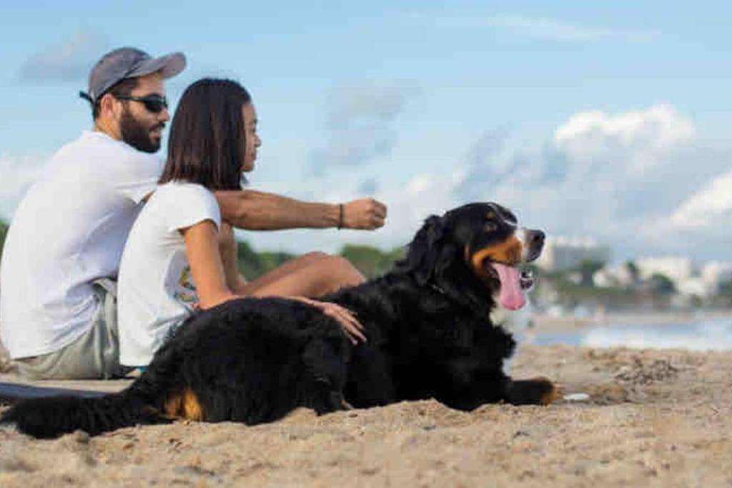 Casa Frente Al Mar En Miami Playa 2Hab别墅 外观 照片